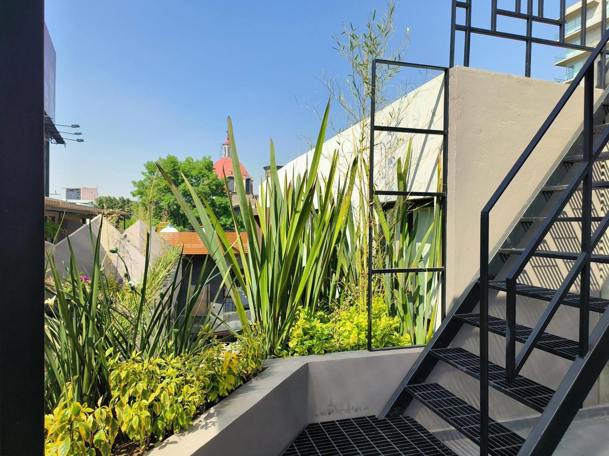Apartmán Flats Friends Condesa-Pelotari Ciudad de México Exteriér fotografie